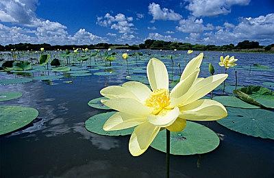 《死亡搁浅2》公布后 小岛秀夫游戏搜索量暴增50倍