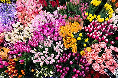 《三角洲行动》即将于12月5日在全球地区展开PC公测